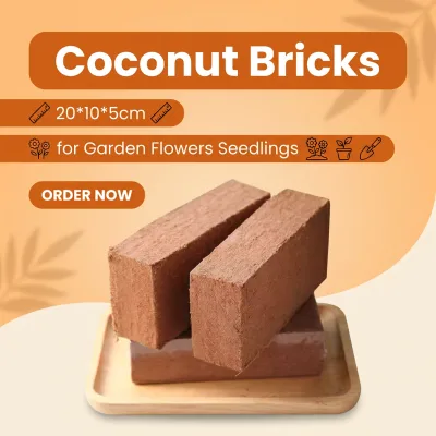 Coconut Bricks Are Used for Planting FlowersThat Is Compressed Has High Foaming 20 * 10 * 5 cm the Soil Is Soft and Fertile