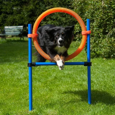 Outdoor Dog Agility Course Training Equipments Training Pole with Scale
