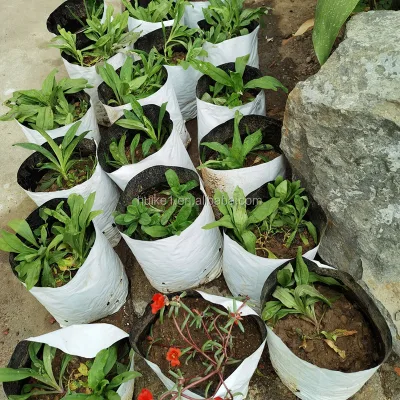 Breathable Plastic Nursery Grow Bags