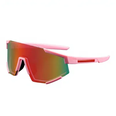 Cross-border Fashion Off-road Fishing Windproof Sand-resistant Full-frame Cycling Goggles China BL5861
