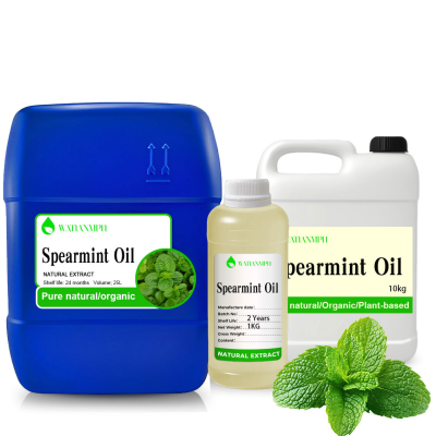 Spearmint Extract Mint Oil Extract Factory Supply Pure Natural Essential Oil for Cosmetics