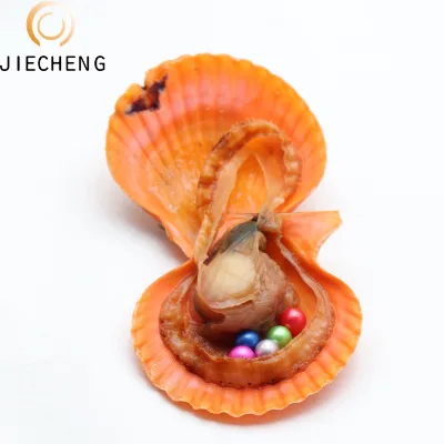 Best Sale Gold Color AAA Cultured Round 6-8mm Pearl Party Oysters Wholesale Freshwater Pearl oyster in Bulk