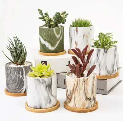 Plant Pots, 3.5 Inch Marbling Ceramic Planters with Drainage Hole, Small Flower Pot Indoor
