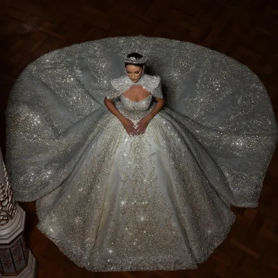 Luxury Beading Lace Applique Embroidery champagne Color Shimming Long Sleeve Princess Ballgown Royal Wedding Dress