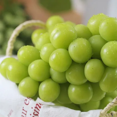 Fresh Yunnan Green Grape Large Berry Strong Aroma Seedless Fruit Sunshine Rose Grape Wholesale