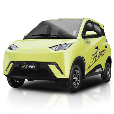 Direct Factory Sale Most Popular New Style 3000W 4-Wheel Electric Vehicles New Energy Vehicles