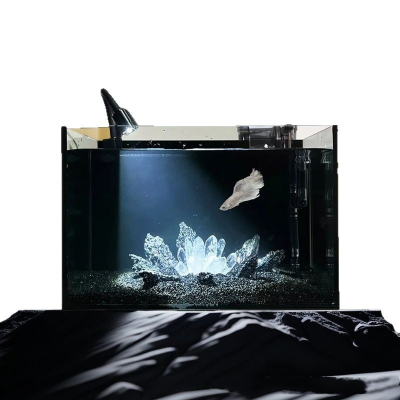 USMILEPET Best Seller Glass Ecological Small Aquarium Fish Tank Fish Culture Ecological Aquarium for Family Fish Farming