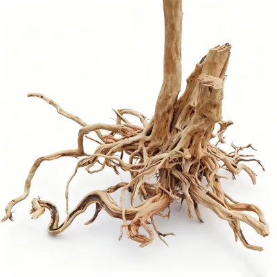 Aquarium Fish tank Landscaping Decoration Natural Rhododendron Root Driftwood  Rhododendron stump Fish tank landscape wood