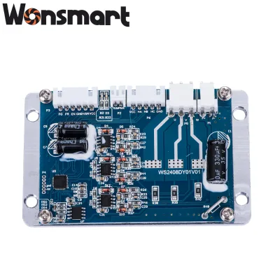 WS2408 Controller 24V DC Brushless with Stable Performance and Good Quality Used for Blower Driver