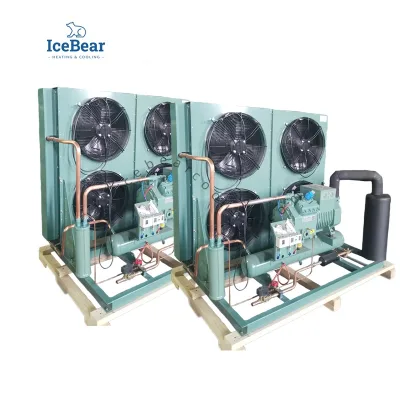 ICE BEAR Cost-effective 220V 23HP Air-cooled Condensing Unit for Drive-in Cold Room Meat Processing and Logistics in Canada