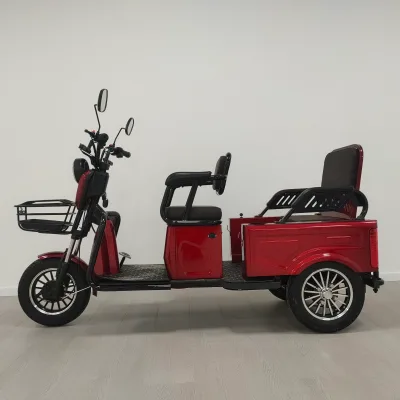 Hot Sale Custom Colorful Adults Electric Tricycle Scooter 600W Motor 60V 3-Speed 3-Wheel High Carbon Steel Frame 20AH Lead Acid
