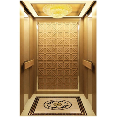 Reasonable Prices Lift Elevator Apartment Elevator 8 Floor