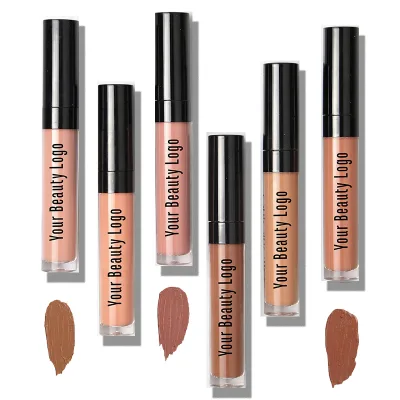 Matte Liquid Lipstick Custom Logo 2024 New Custom Long Wearing Nude Color Luxury Waterproof MSDS Lips Regular Size