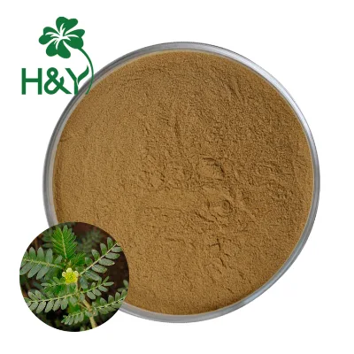 Top Quality Tribulus Terrestris Extract Saponin 60%