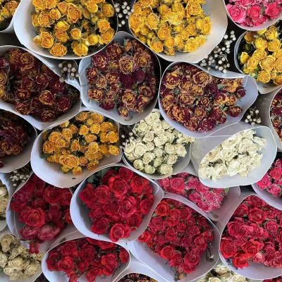 Rich Color Factory Big Sale Real Natural Dry Rose Flower Bouquets With Stem for Home Office Restaurant Interior Decoration