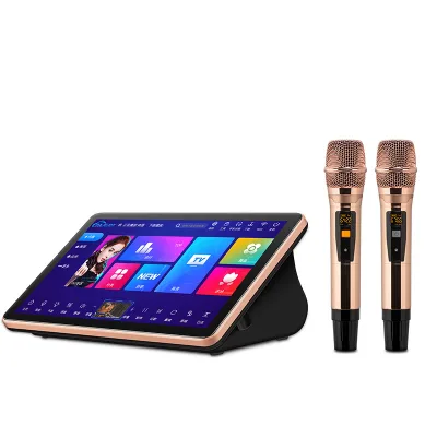Best Quality Portable Professional Karaoke Player System Big Party Speakers For Sale