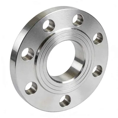 RUICHEN FG Anti-Corrosive Polished SS316L Forged High Pressure Weld Neck Flange for Chemical Industry Acid Resistant Pipe
