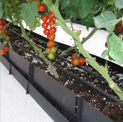 Small Space Vegetable and Fruit Growing Trough Soilless Cultivation Flower Pots and Planters