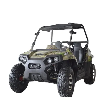 3000w 5000w Steering Wheel Legal Electric Vehicle by Side Utv Go Kart Usati Off Road Buggy for Sale Uk
