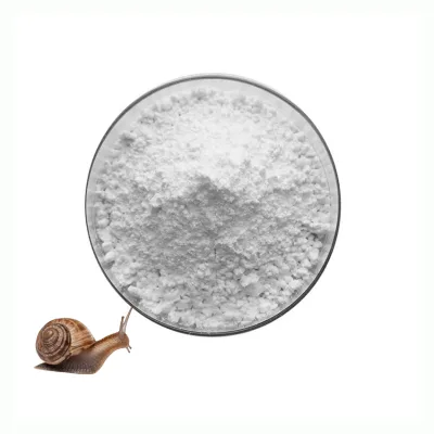 Factory Supply Snail Extract High Quality Snail Mucin Powder Snail Mucin Extract