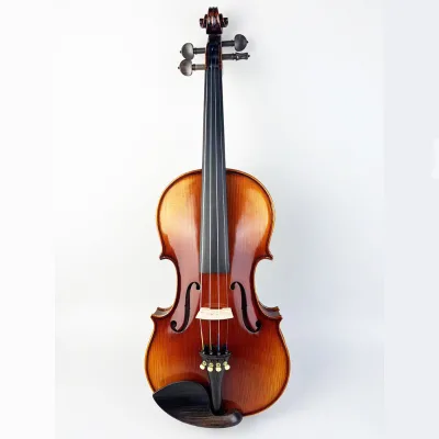 High End Violin Professional Full Size Violin for Sale Come with Good Quality Fittings Violin