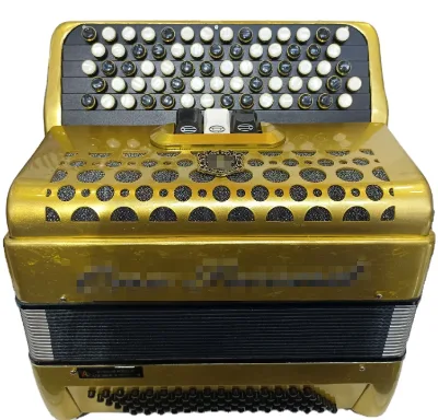 OEM Professional 69/62Buttons 96/60 Bass with 3 Registers Button Accordion Instrument PL300 Hot Model Keyboard Instruments