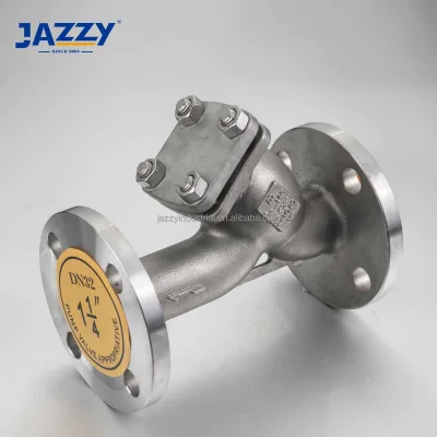 JAZZY Top Sale Stainless Steel NPT BSP 304 316 Flange Y-Strainer Valve