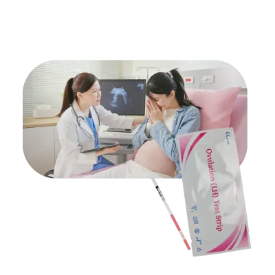 Ovulation Test Strips Lh Ovulation Test Home Ovulation and Pregnancy Test Strips