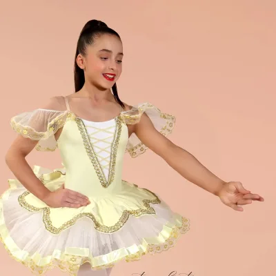 High Quality Spandex Dance Costumes New Design Mesh Dance Dress for Girls and Adults Modern Style for Ballet Stage Performance