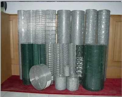 Hot Dipped Galvanized Welded Wire Mesh for Bird Cage Welded Wire Mesh Roll