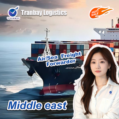Ddp Ddu Dap Fast Logistics Service From China to USA Sea Shipping Agent for LCL+Trucking Sea Freight Forwarding