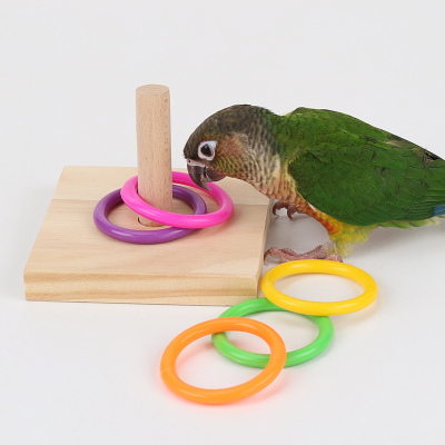 Parrot Ring Bird Toy Puzzle Toy Parrot Supplies Complete Kit Training Kit Parrot Toy