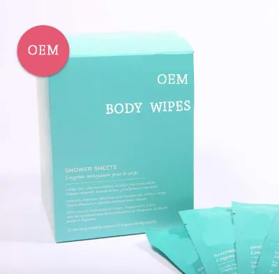 Body Cleansing Wipes Single Pack Custom Brand Super Size Body Wipes