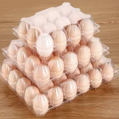 Supermarket Use Transparent Custom Plastic Egg Tray 30 Holes PET Food Storage Containers Egg Packaging Plastic Plates Bowls