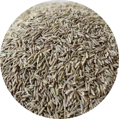 2024 New Crop Wholesale 100% Pure Quality Low Price Kreuzkummelsamens  Semillas De Comino Green Dried Cumin Seed