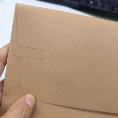 Custom Mailer Kraft Envelope Package Design Flat Brown Envelope With Self Seal