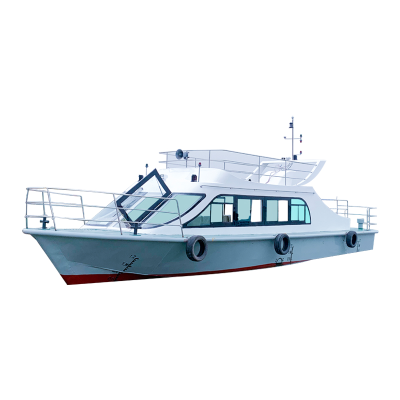 Customized Cruise Ship, Tourist Boat