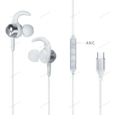 Dairle C59 ANC Wired In-Ear Earphones with Type-C Digital Audio Hi-Fi Clear Sound Private Mold for Library Use