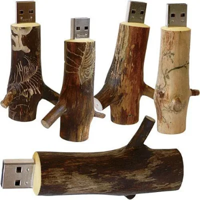 8/16GBWooden USB Flash Drive Laser Printable Tree Root Red Wood USB 2.0 2GB Gift Tree Branch USB Stick