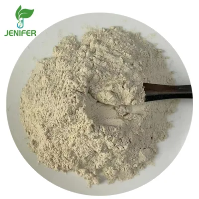 Additive Buy Fertilizer Probiotics Bacillus Amyloliquefaciens for Plant Bacillus Amyloliquefaciens