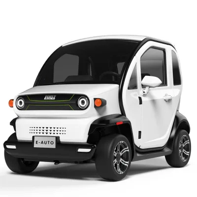 Electric Cars Mini Car 2000W 4 Four Wheel Passenger Car