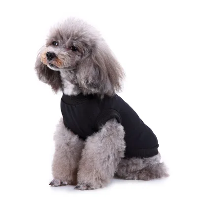 Hot Selling Custom Logo Small Size Summer Pet Clothing Luxury Classic Crewneck Sweatshirt T-Shirt Casual Plain Design for Puppy
