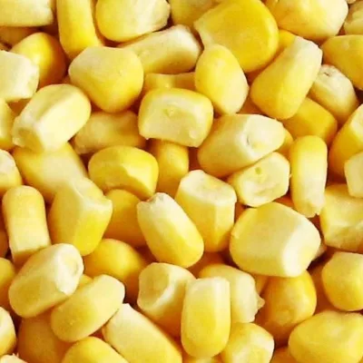 Best Selling and Wholesale Yellow Sweet Corn Frozen Corn Kernels
