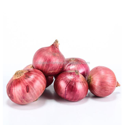 Fresh Onion Export Red Onion and Yellow Onion New Crop