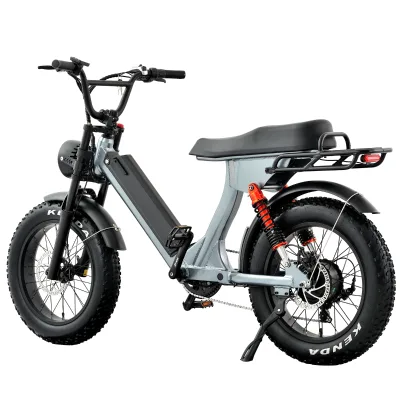 New Arrival Electric Bicycle Fat Bike Motor 48V 500W 750W 1000W Electric Fat Tire Bike for Men Women with EU US Warehouse