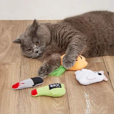 Factory Direct Halloween Cat Toys for Cats Original Eco-Friendly Catnip Toys to Relieve Boredom Halloween Pet Toys for Cats