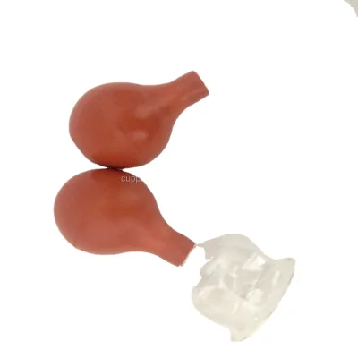 5 Size Transparency Glass and Silicone Cupping Therapy Cup Set for Body Care Antirheumatic CE Certified