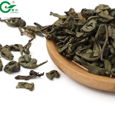 New Chinese National Gunpowder Tea 9475/9575 Green Tea Packets for Water Bottles