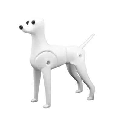 Pet Teddy Bear Hair Dog Wig Pet Grooming School Practice Cosmetology Skill Exercise Pet Hair Model Dog