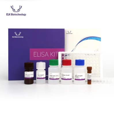 High Quality ELK10990 Pig TNC(Tenascin C) ELISA Kit for research